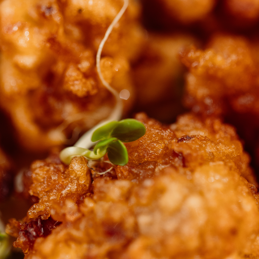 Poulet Karaage